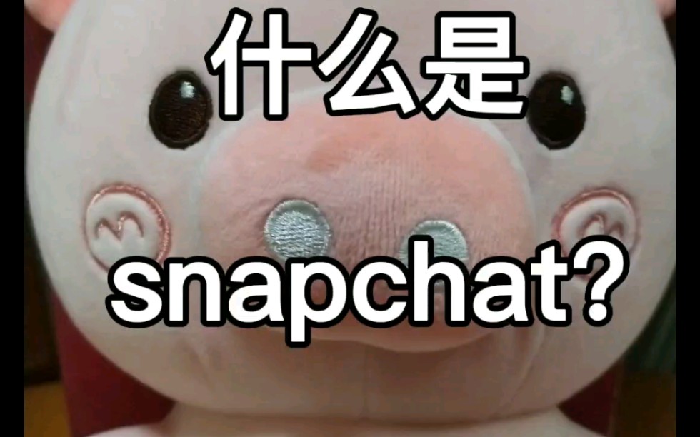 什么是snapchat外贸跨境电商snapchat