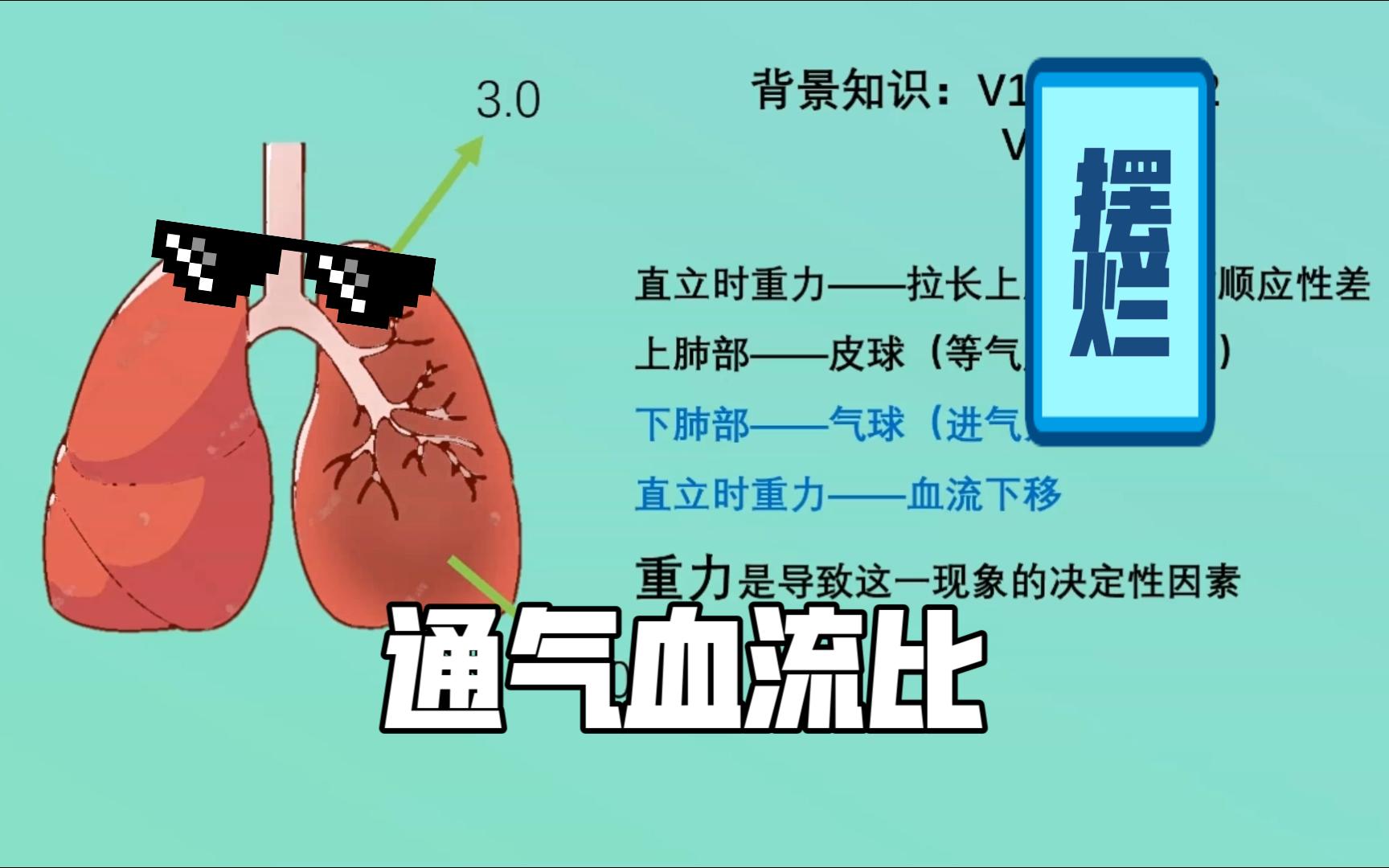 最大通气量图片