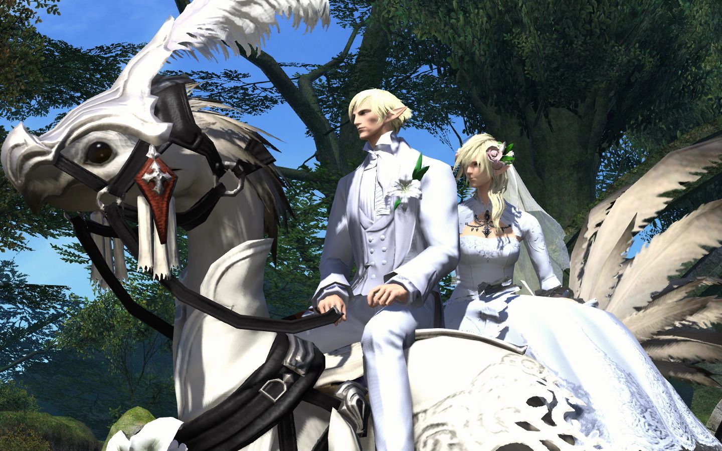 [ff14]我和小号的周年纪念-男精x女精白金婚礼录像