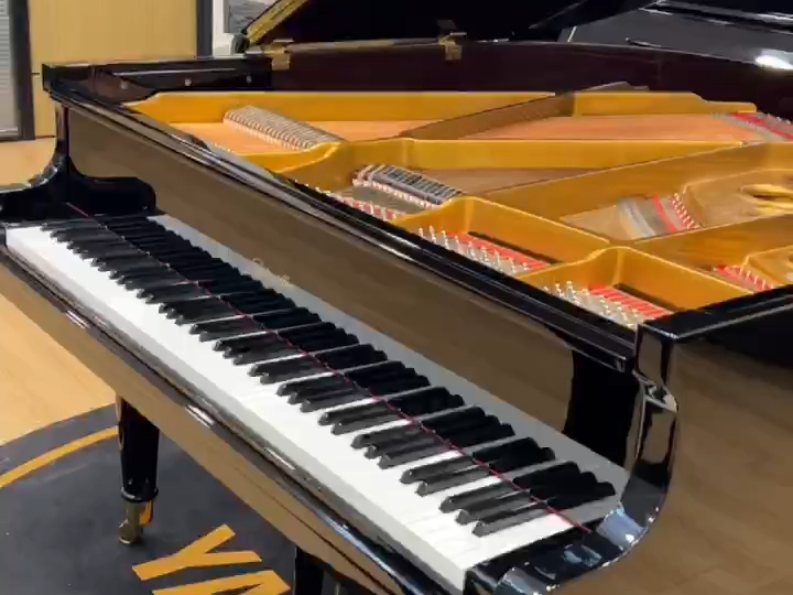 【三角钢琴】里特米勒gp159r