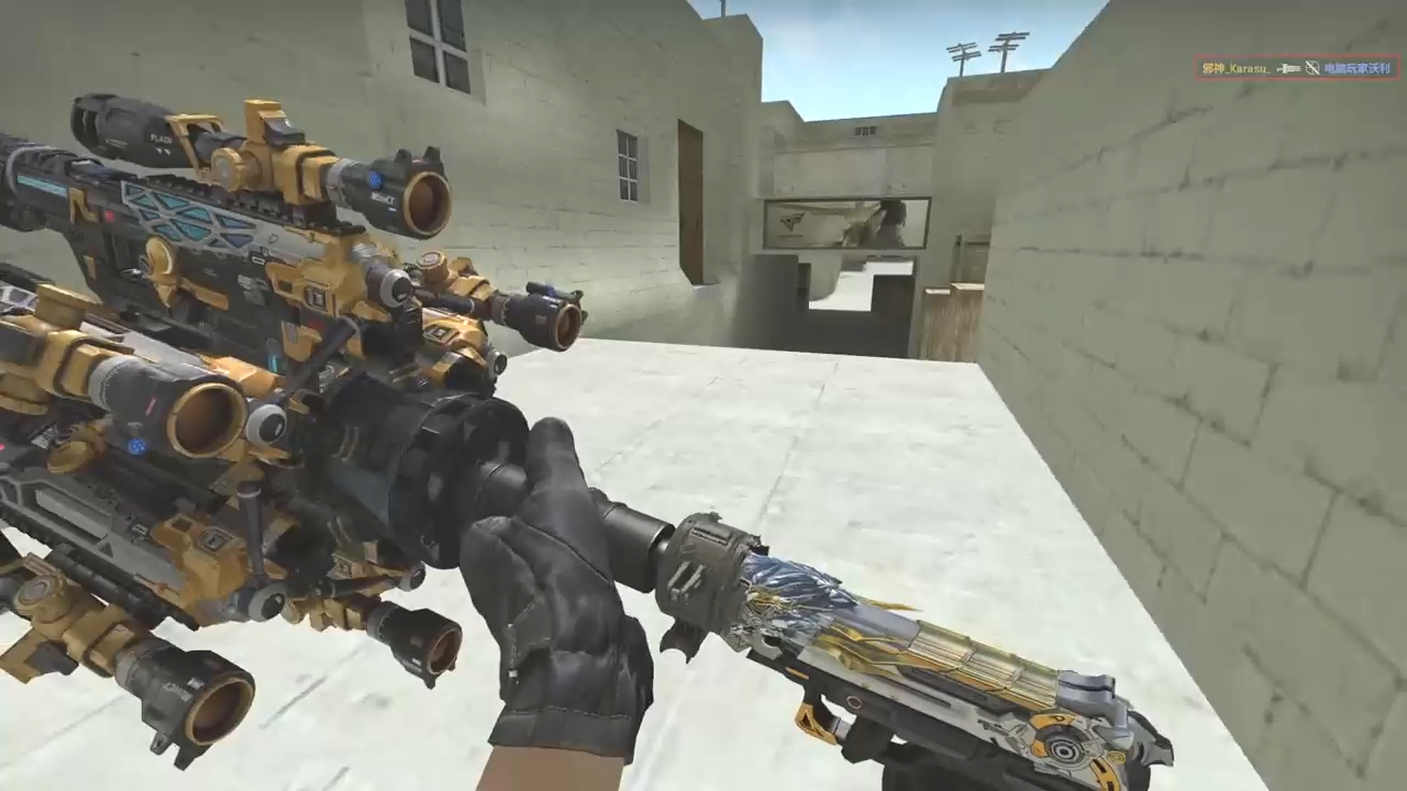 大哥的usp消音长点怎么了 #csgo #cf #菜就多练 #穿越火线