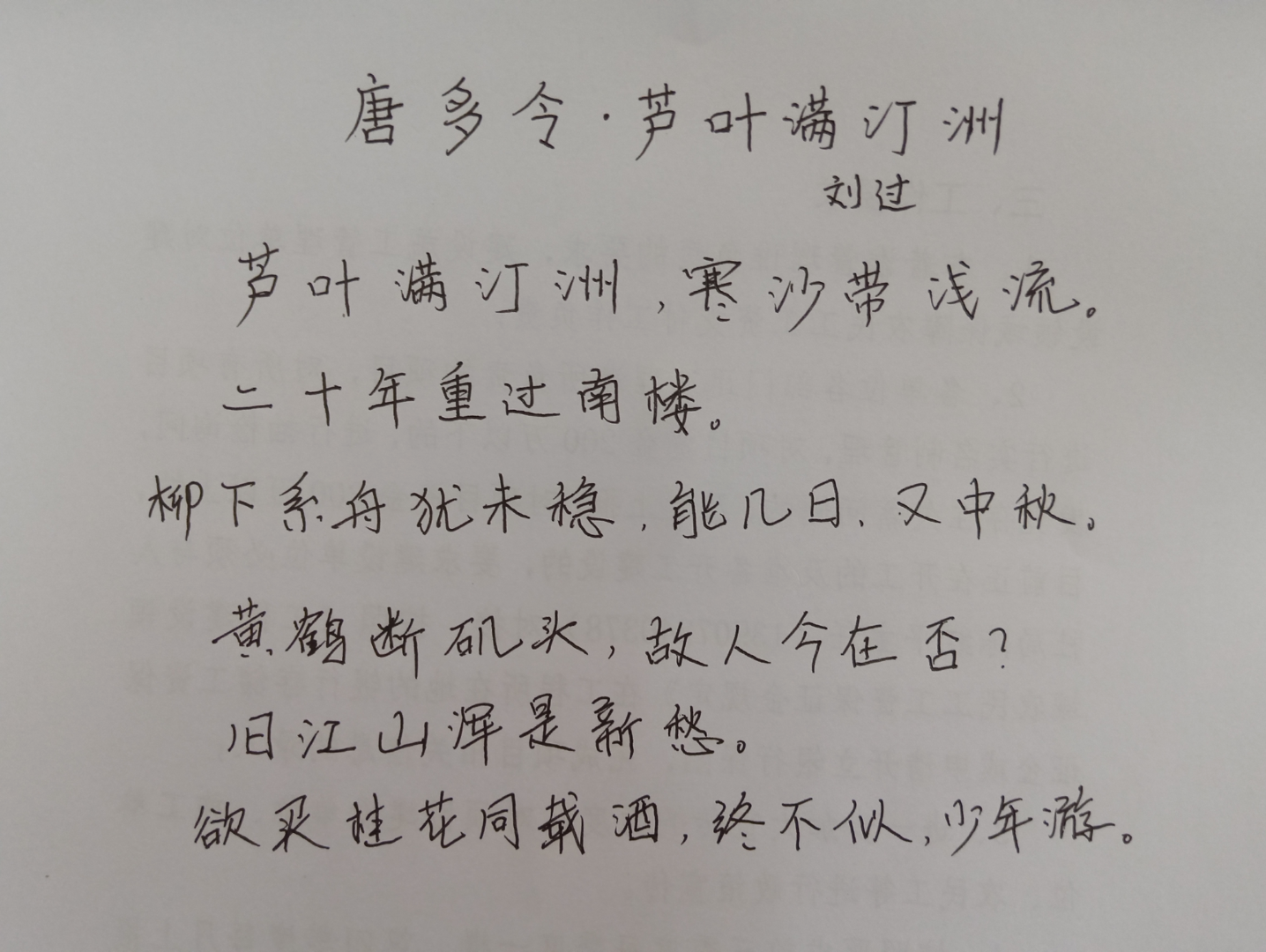 唐多令芦叶满汀洲 B站