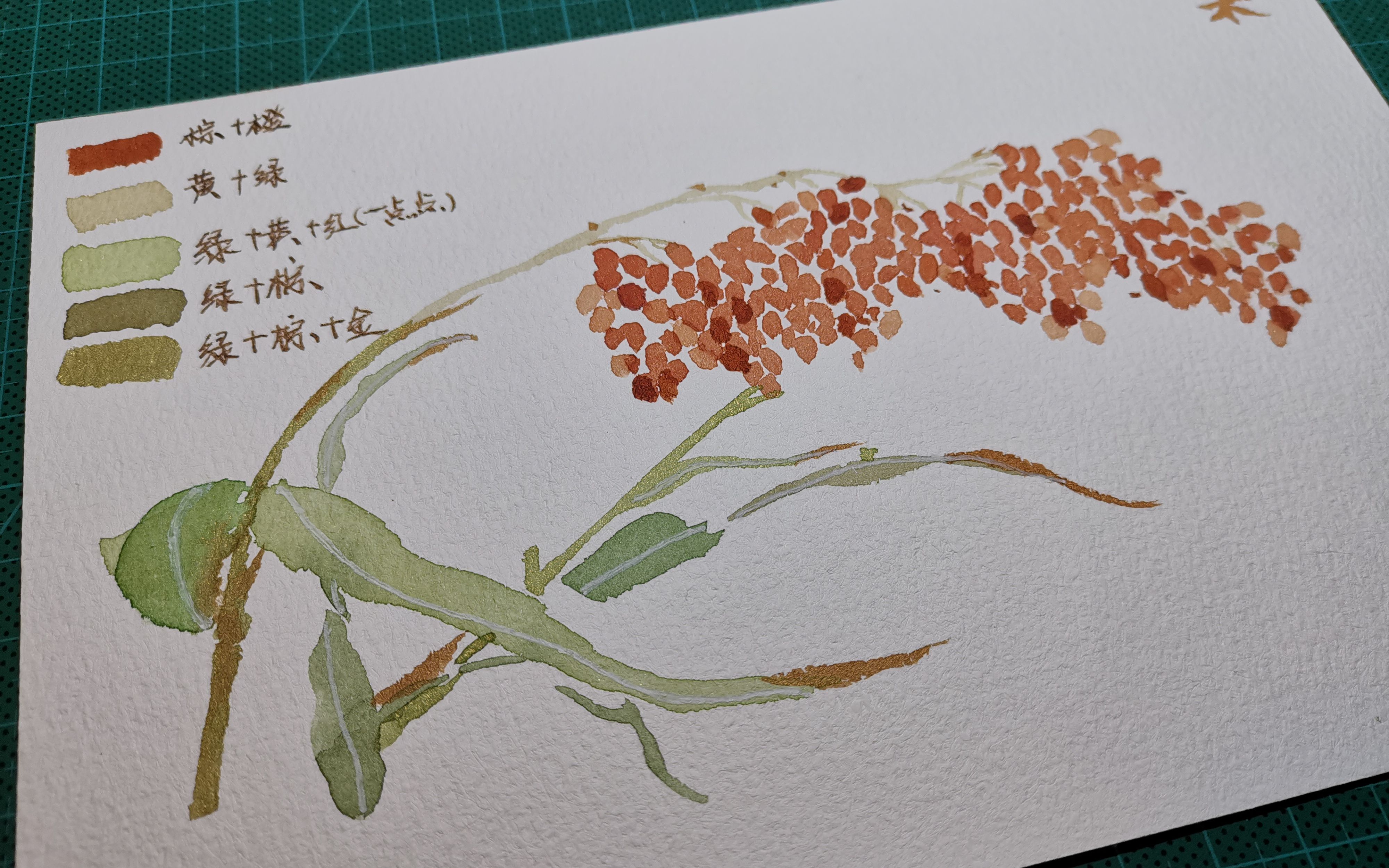 【手绘】临摹《诗经草木绘》-梁