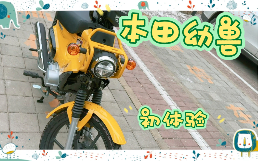 麦哥带你看摩托之.本田幼兽HONDA CC110哔哩哔哩bilibili