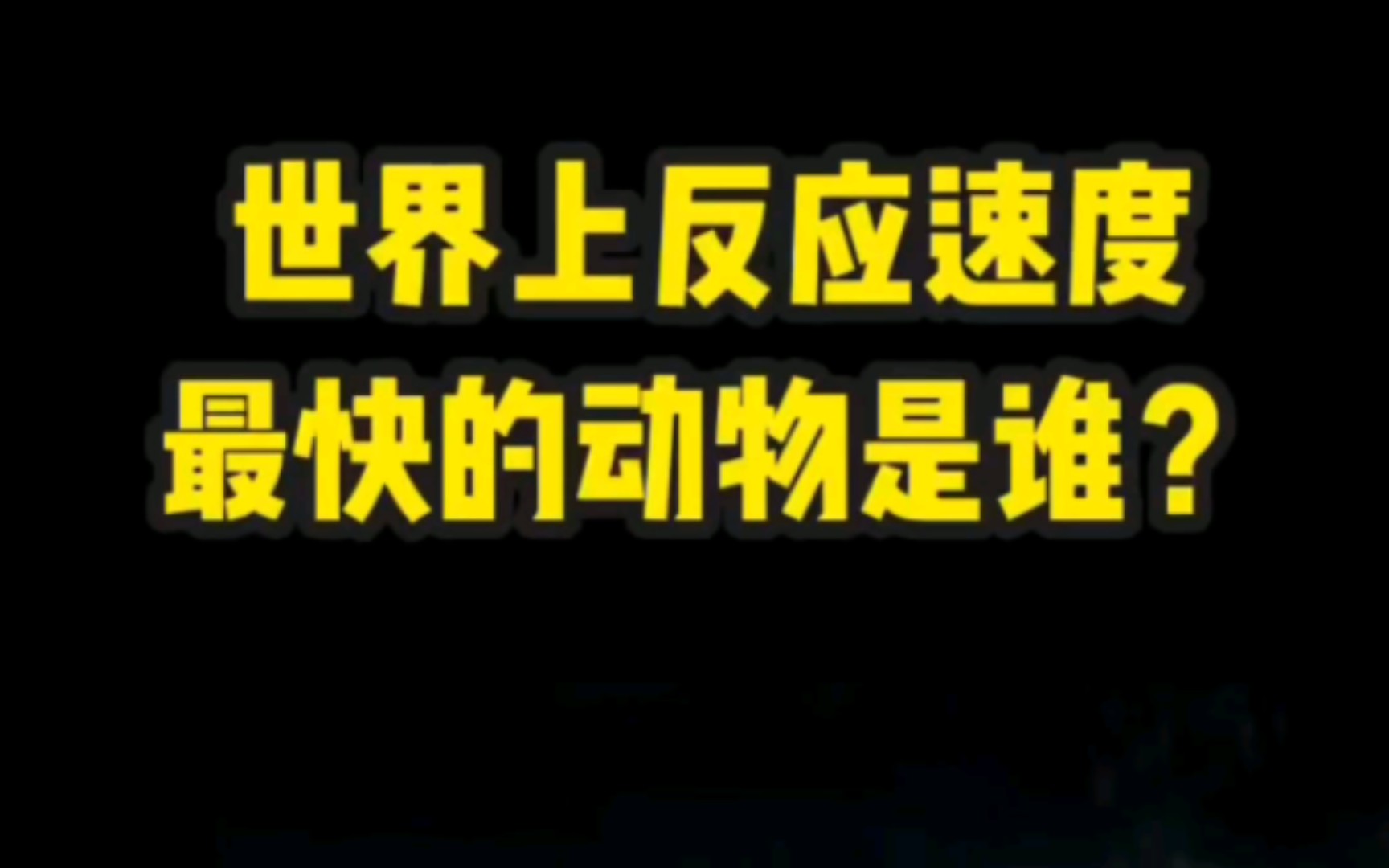 世界上反应最快的动物,你肯定想不到哔哩哔哩bilibili