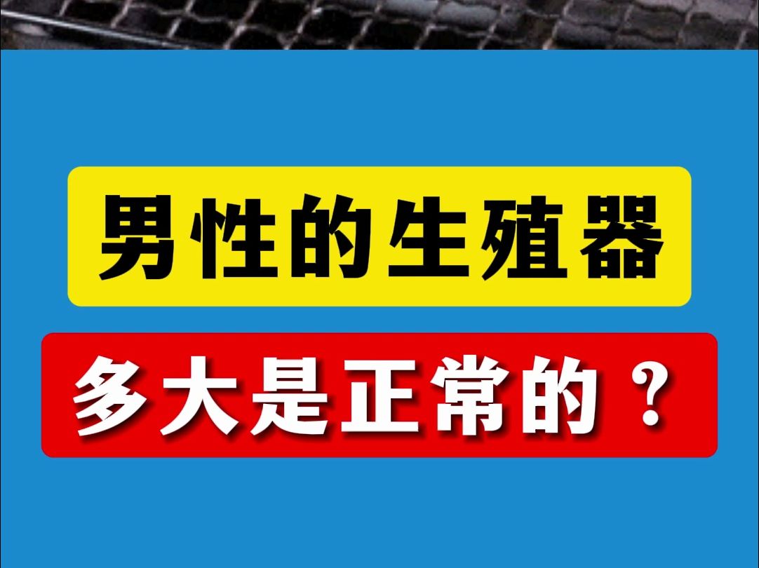 男性的生殖器多大是正常的?哔哩哔哩bilibili