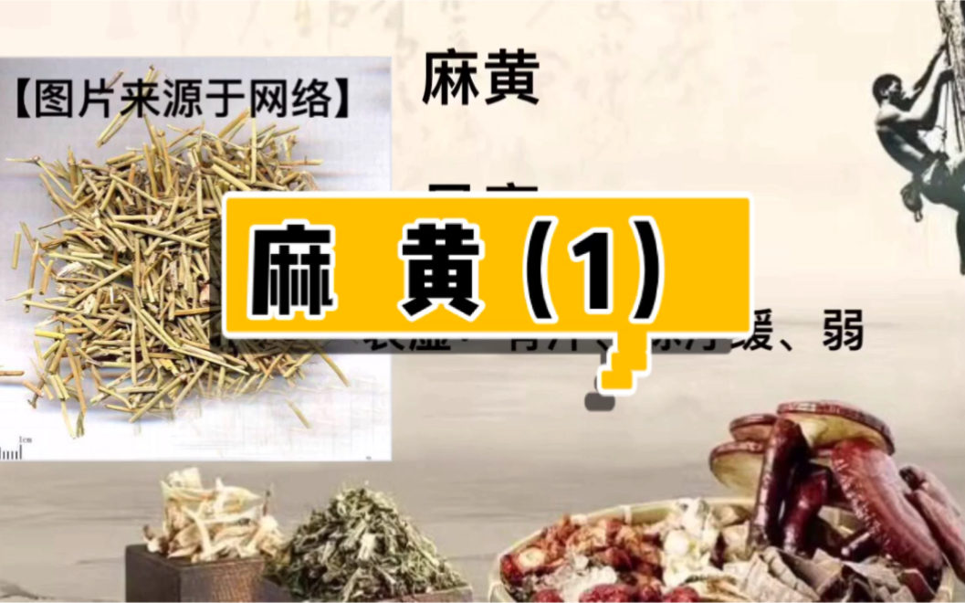 茎博丸有什么功效(茎博丸功效大揭秘,让你重拾男性自信)