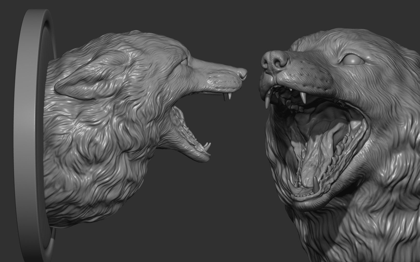 zbrush狐狸头部动物雕刻参考资料,zbrush雕刻资料