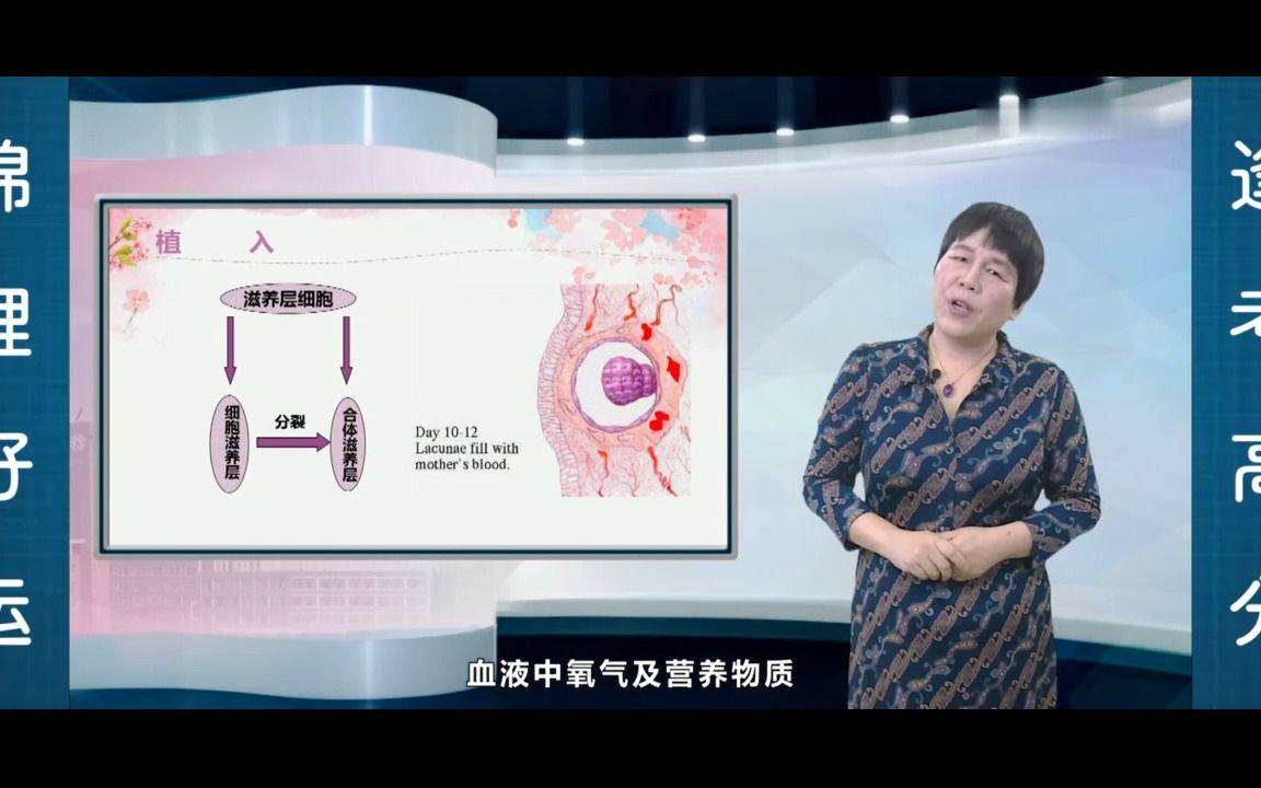 [图][13.2] 生命之花的绽放