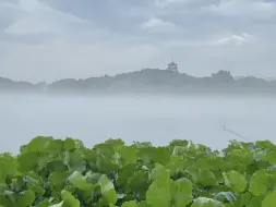 Download Video: 雨后西湖，我竟然拍到了电视剧中的蓬莱仙岛❗️这位杭州大爷说，他70岁了头一回见到这么美的雷峰塔