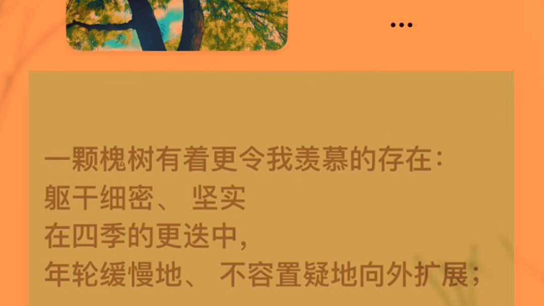 現代詩·一棵槐樹