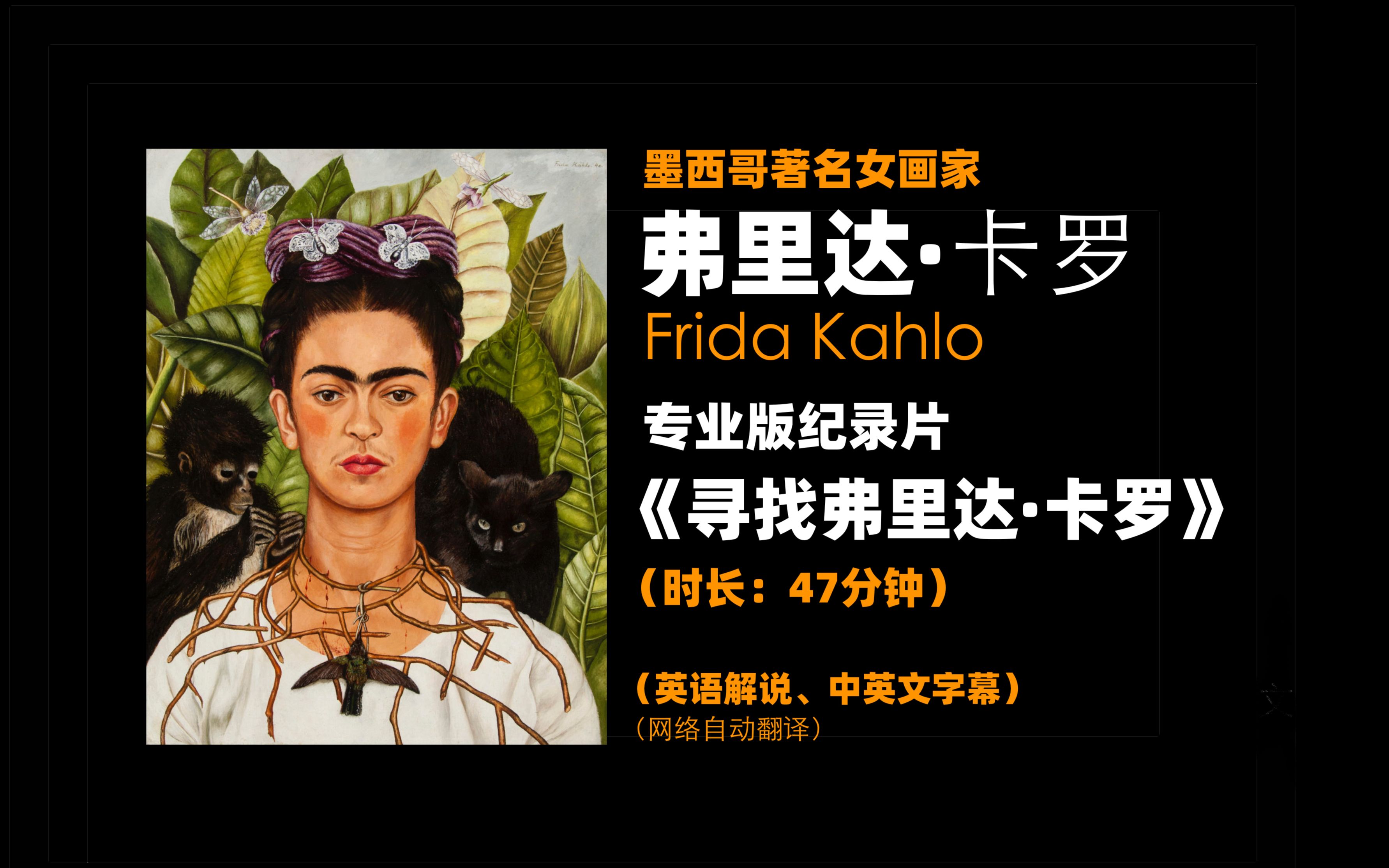 大众艺术网弗里达卡罗纪录片寻找弗里达卡罗跟随国际知名音乐家埃梅里