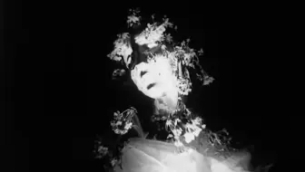 希腊导演Nikos Nikolaidis实验短片 Lacrimae rerum （1962）