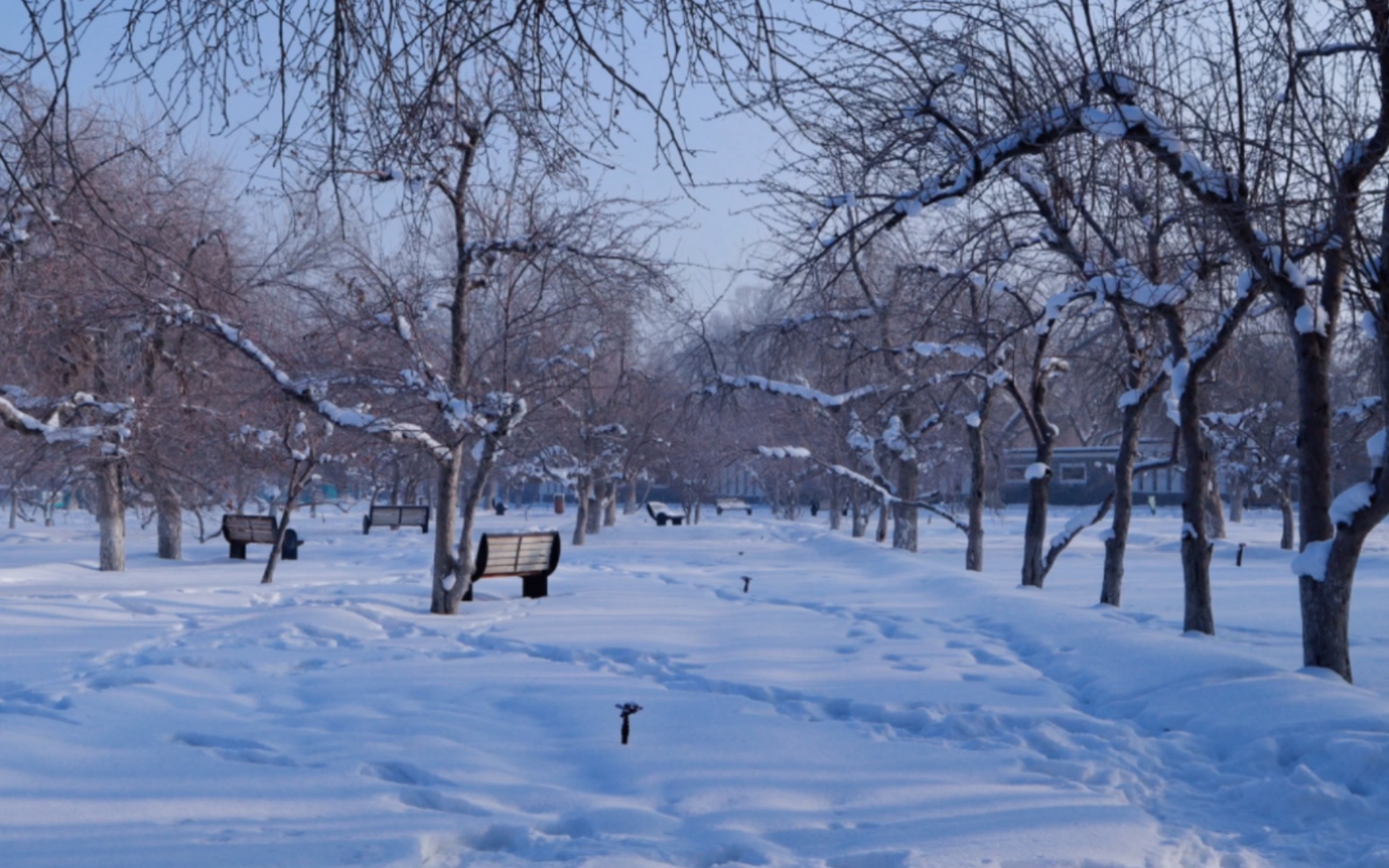 乌鲁木齐的冬天有多美?