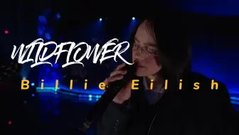 【Billie Eilish】碧梨低声吟唱，路边的野花为谁开又为谁败？
