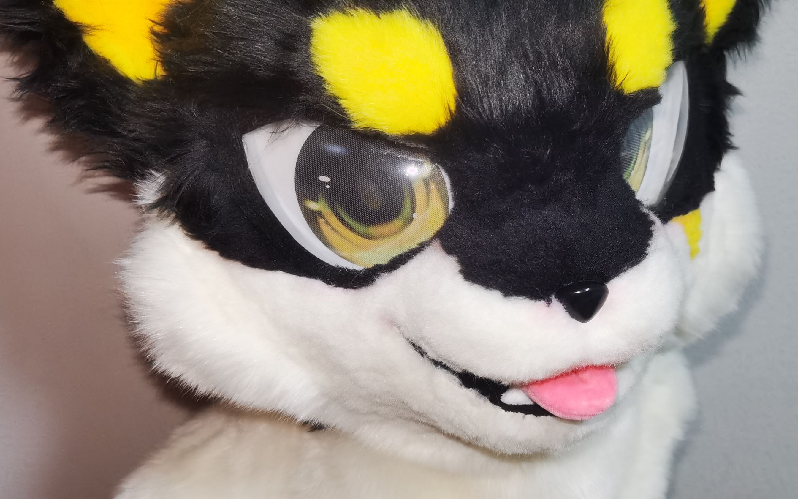 【fursuit】第一个日系全装委托终于完成啦!