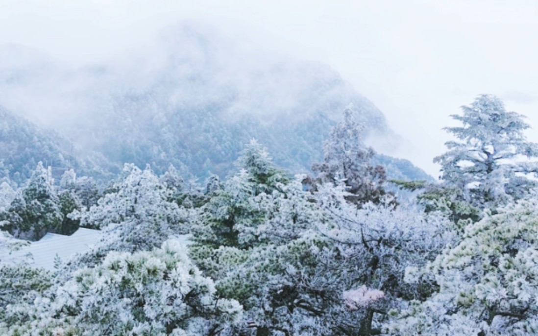 【庐山雪景】雾凇云海,玉树琼枝哔哩哔哩bilibili