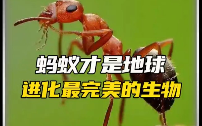 [图]你以为人类是进化最完美的生物吗？那你就错了！