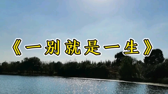 说好永远的,不知怎么就散了.一别,便是一生.原来一别,便是一生.