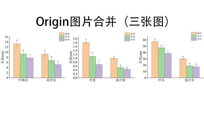 origin四图合并图片