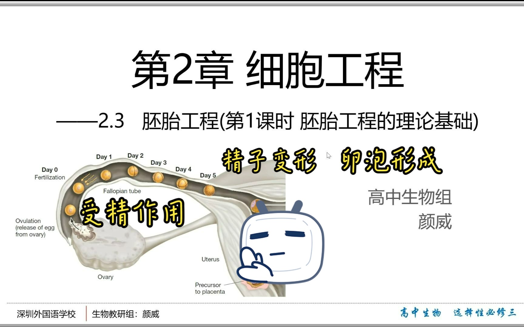 【高中生物选择性必修三】2.3.1胚胎工程 胚胎工程的理论基础 精子和卵子的发生 受精作用哔哩哔哩bilibili