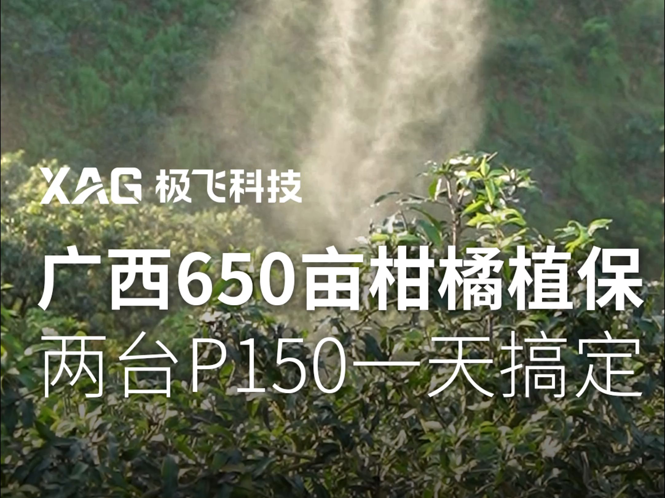 650亩果园如何管理更经济高效?71岁果园主算了一笔成本账!哔哩哔哩bilibili