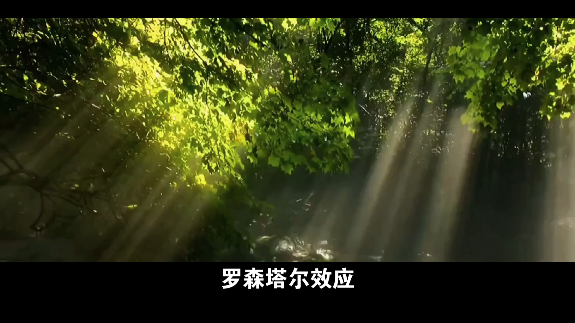 罗森塔尔效应