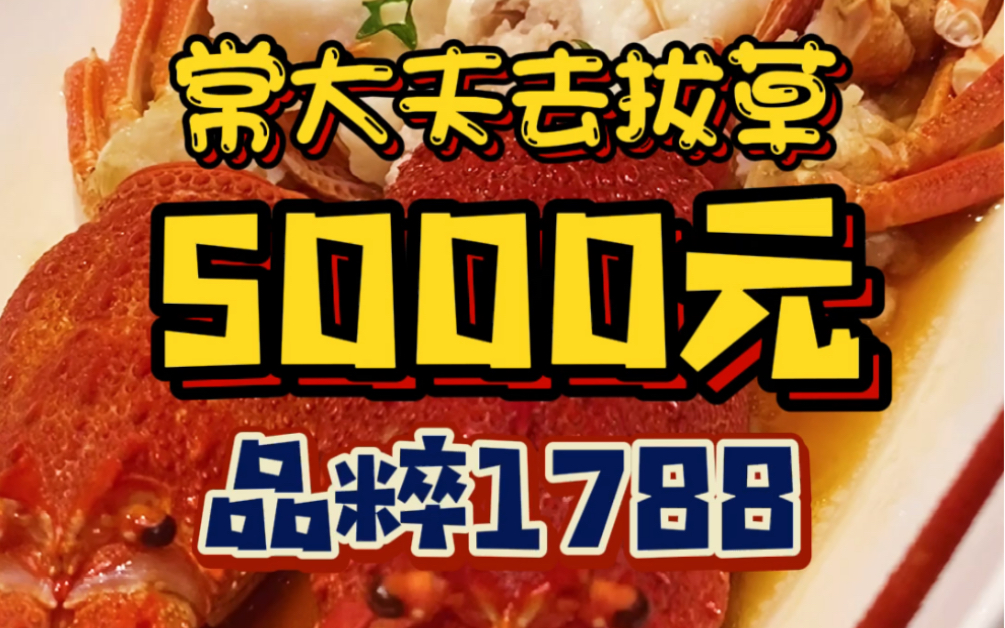 陆家嘴最神秘的别墅餐厅味道究竟怎么样⁉️哔哩哔哩bilibili