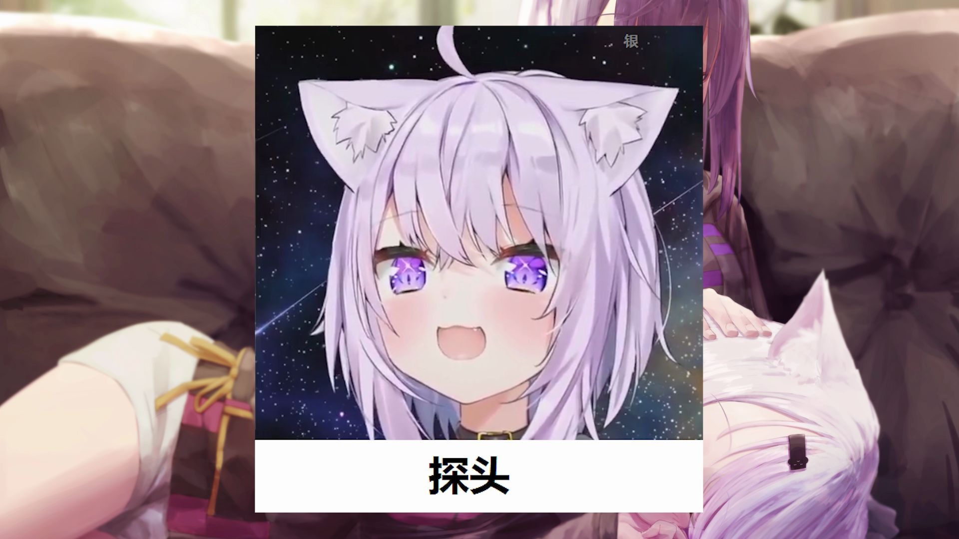 活动作品猫又小粥大脸猫表情包第二期