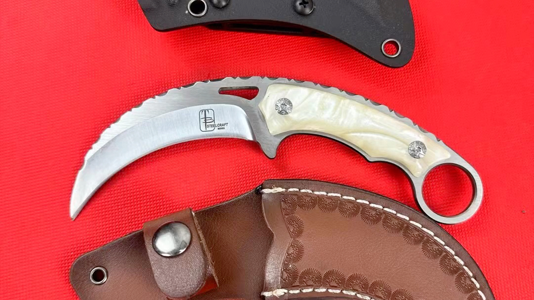 托德.贝格-魔鸟防卫爪