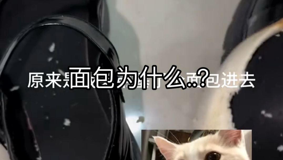 把面包塞袜子里面是啥操作呀?