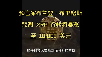 下载视频: 预言家布兰登·布里格斯预测 XRP 价格将暴涨至 10,000 美元