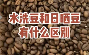 Download Video: 耶加雪菲的水洗豆和日晒豆有什么区别？咖啡豆加工法日晒和水洗怎区分方法？#耶加雪菲#日晒咖啡豆#水洗咖啡豆