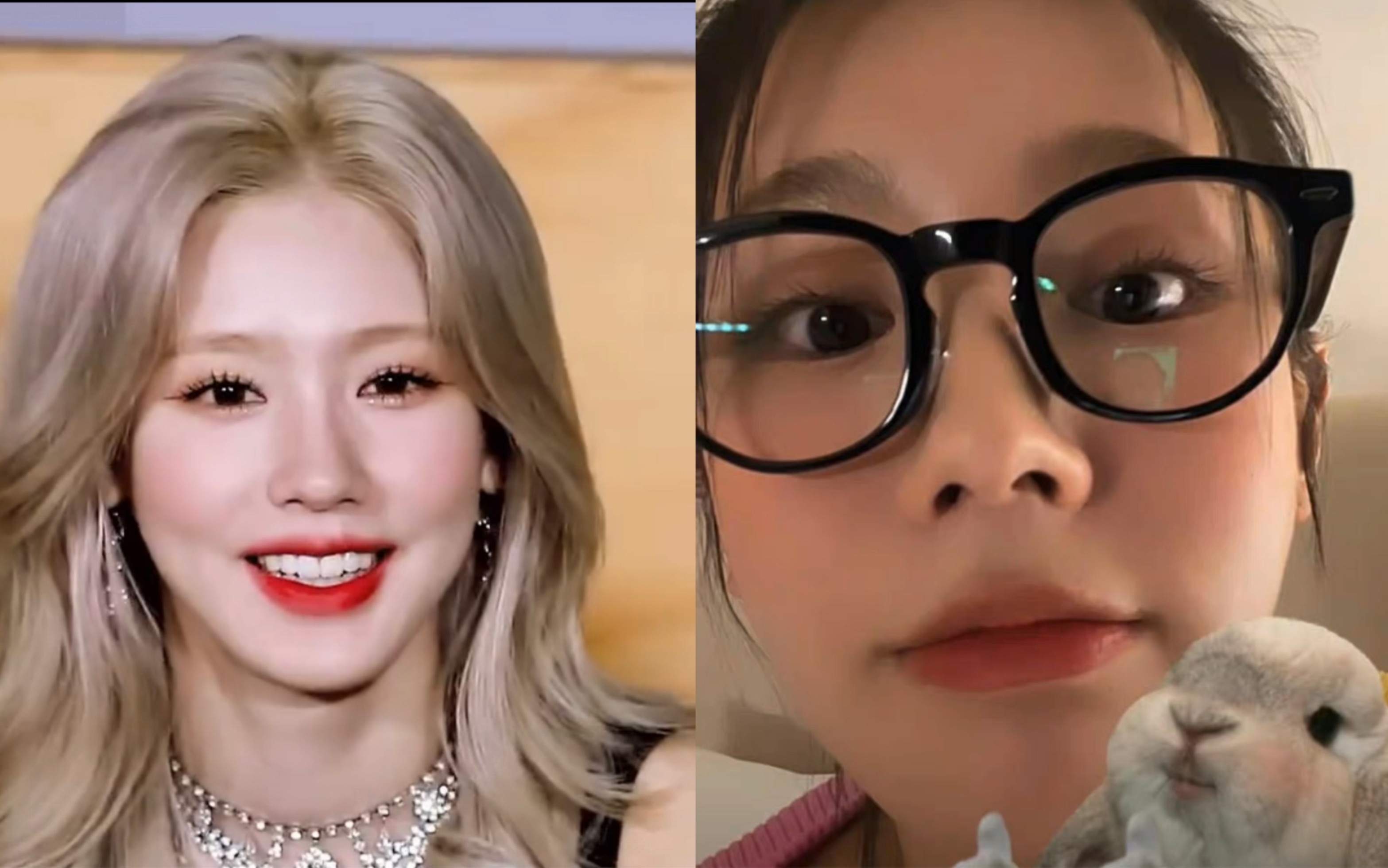 【赵美延】你有见过这么美,但是脑子不太对劲,憨憨可爱的美女嘛!