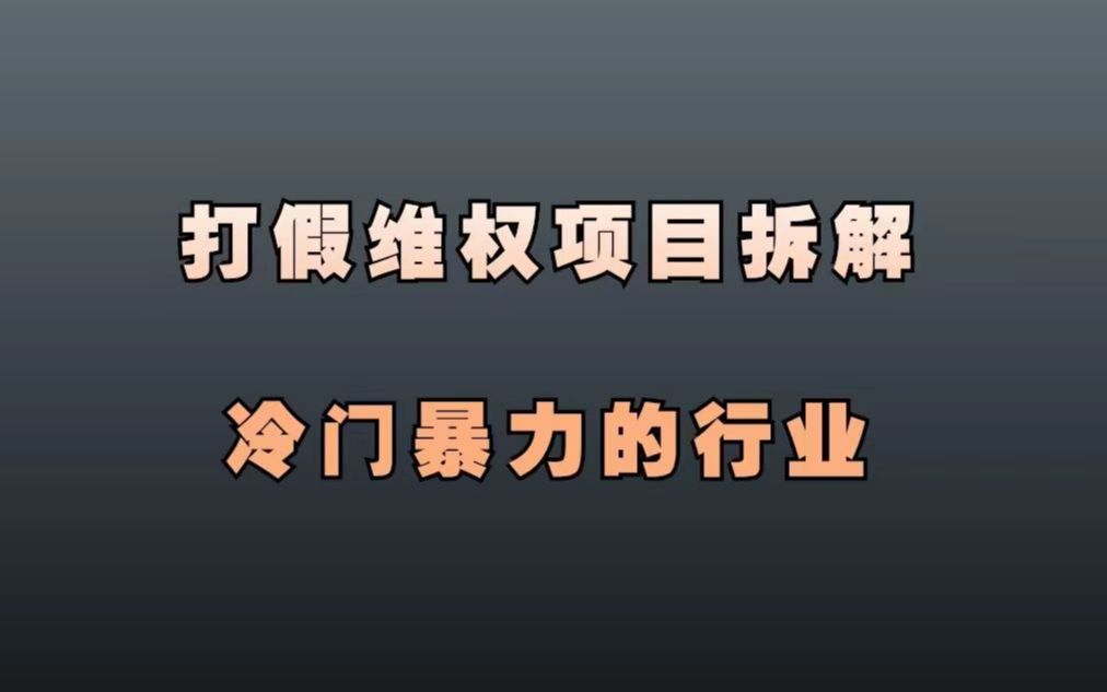 拆解职业打假项目,一个闷声发财的冷门项目,轻松月入30000+哔哩哔哩bilibili