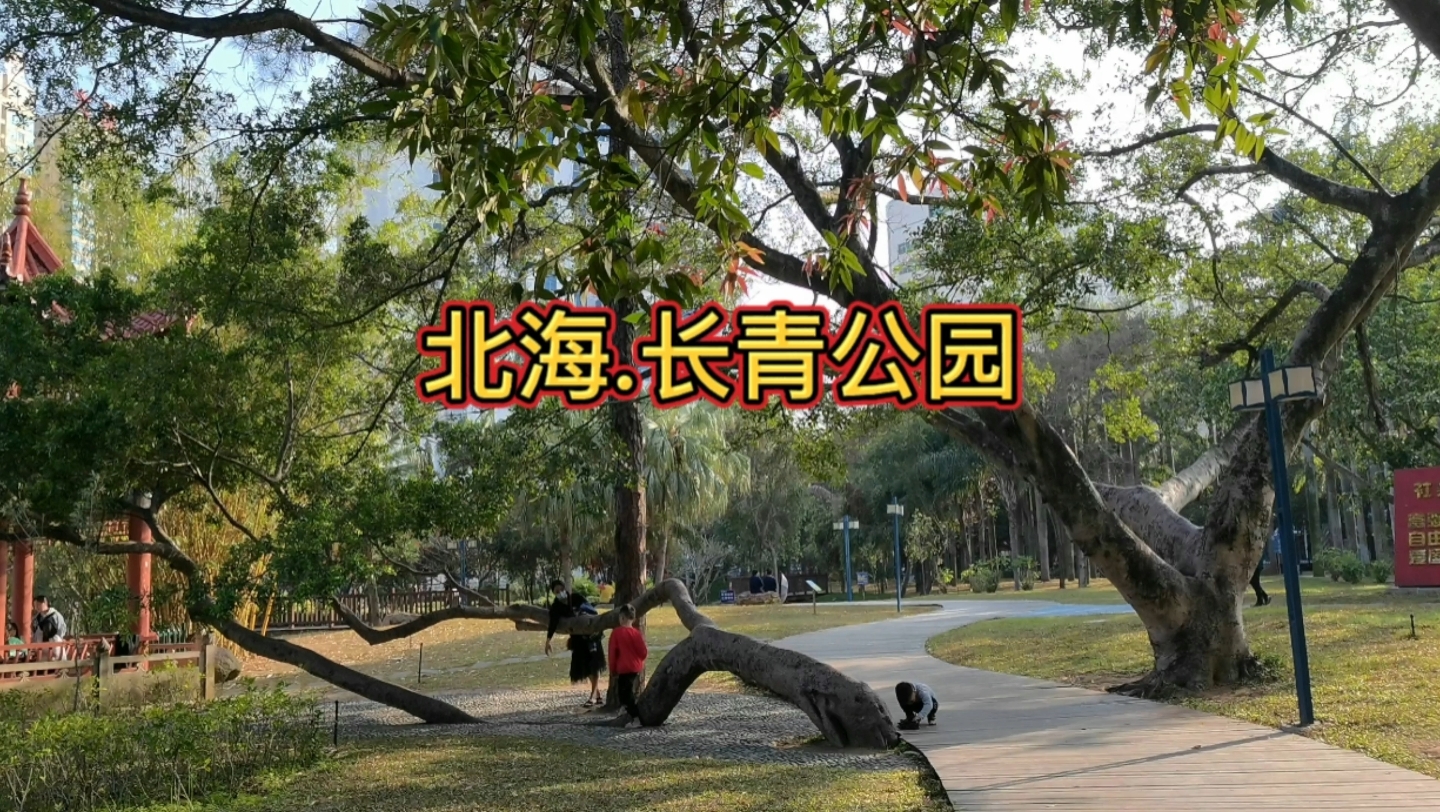 北海长青公园,一个综合性纪念公园,风光旖旎,休闲好去处!