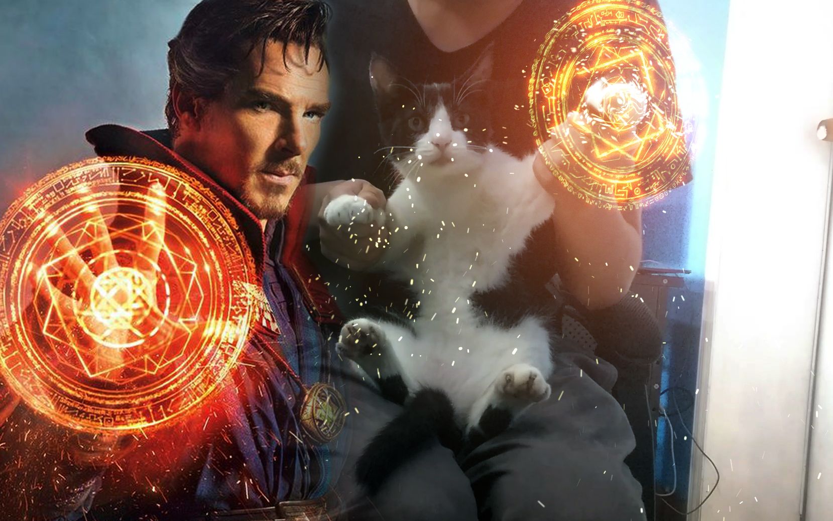 3的结果千万不要让你家的猫咪陪你看电影奇异博士魔法盾ae特效合成