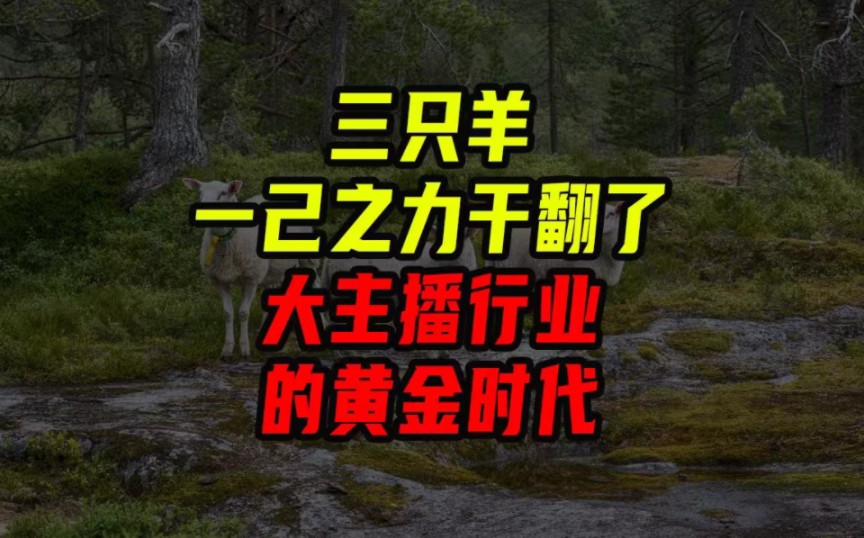 以一己之力干翻了大主播行业的黄金时代哔哩哔哩bilibili