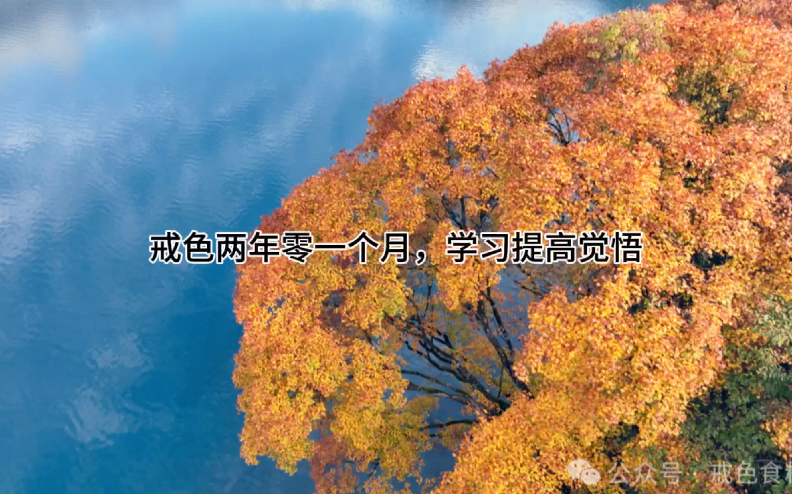 戒色两年一个月,学习提高觉悟