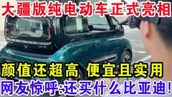 大疆版纯电动车正式上市，便宜且实用颜值还超高！网友惊呼:还看什么比亚迪！