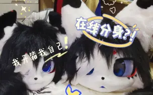 Video herunterladen: 【兽装/fursuit】惊！ 一小猫居然收到了自己（?）