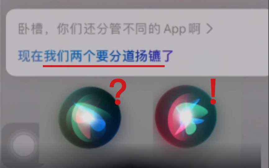 [图]两个Siri在吵架