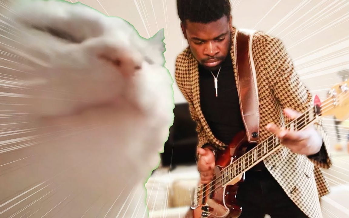 点头喵教你玩funky cat vibing to funky videogame music for 2