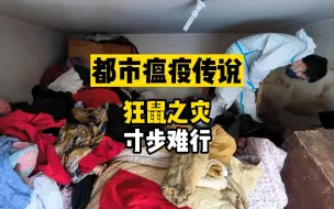 Download Video: 鼠鼠猛攻！被这老房破了大防了，看来我们见的世面还不够多