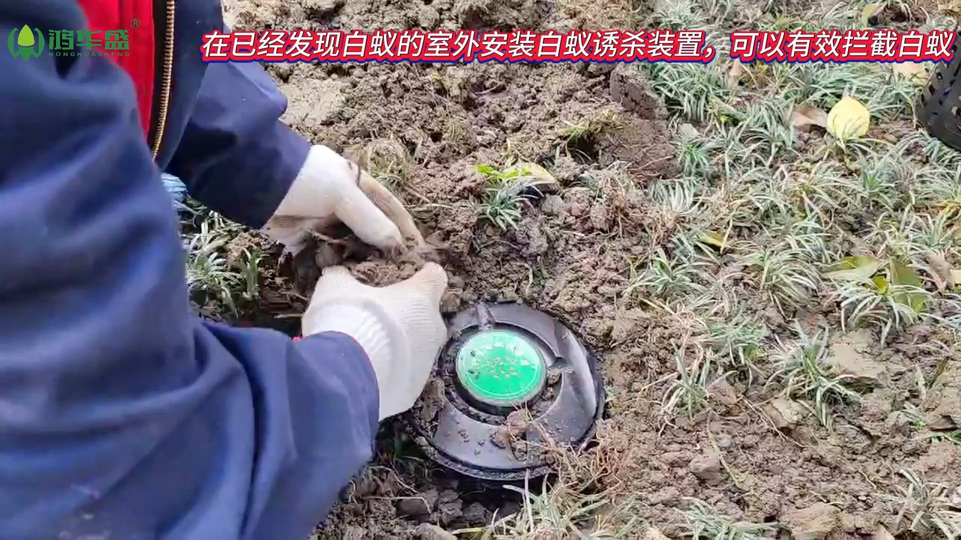 在已经发现白蚁的室外安装白蚁诱杀装置,可以有效拦截白蚁进入室内