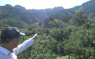 Download Video: 朝山尖秀来龙有力，王君植风水大师山东寻龙丁财贵寿风水宝地现场视频