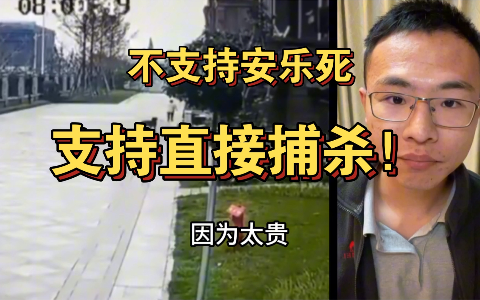 户晨风锐评捕杀流浪狗:“不支持安乐死,直接捕杀流浪狗!”哔哩哔哩bilibili