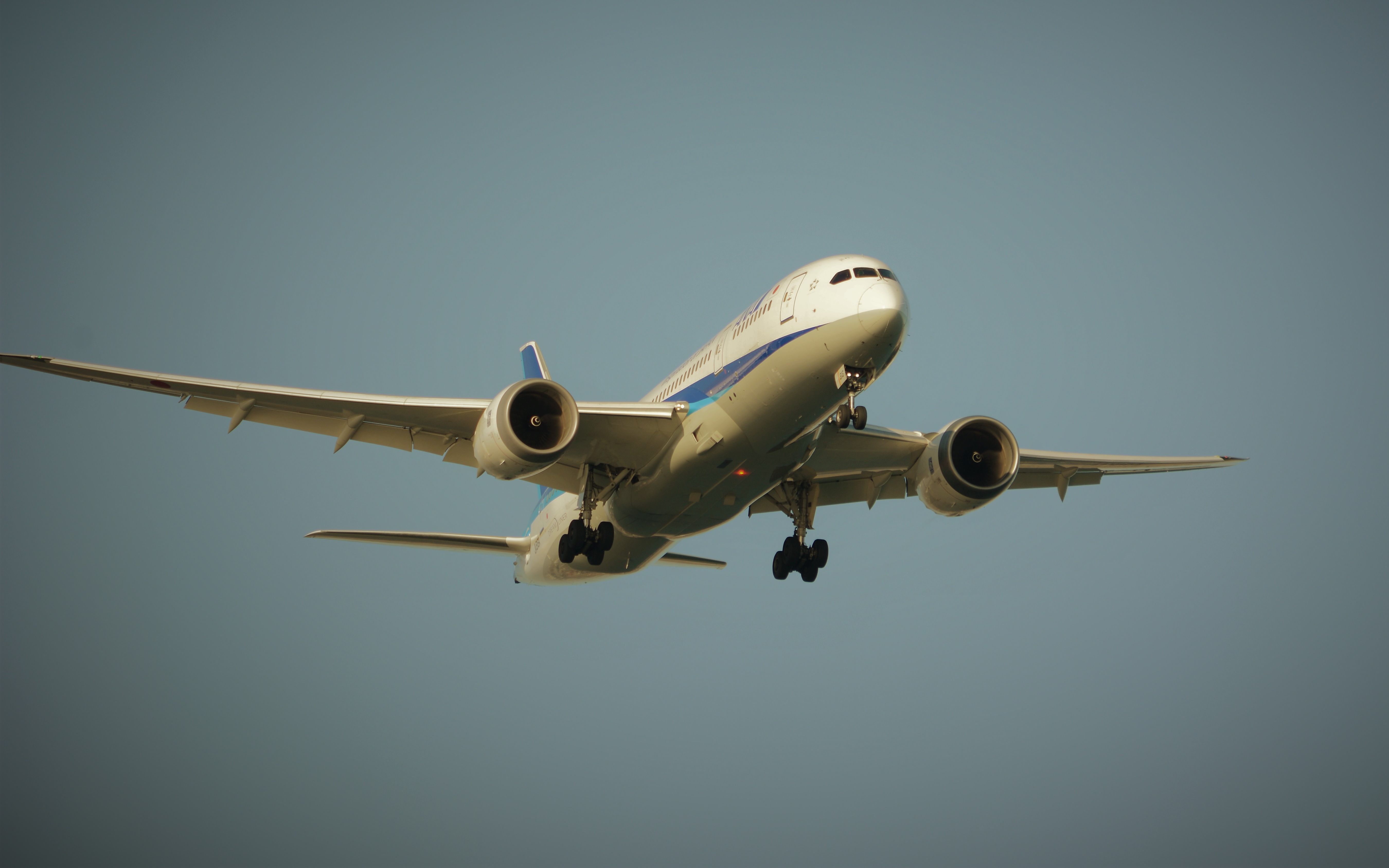 活动  羽田机场强风天飞机降落 灌篮高手涂装 米老鼠90周年涂装