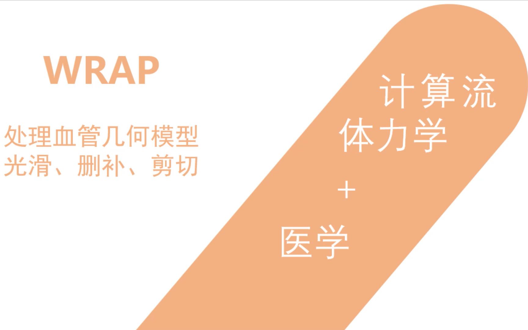 血管模型光滑处理:WRAP哔哩哔哩bilibili