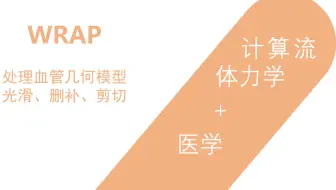 血管模型光滑处理：WRAP